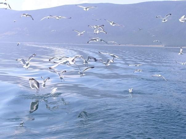 Байкал светлеет. Утро чуть туманно...