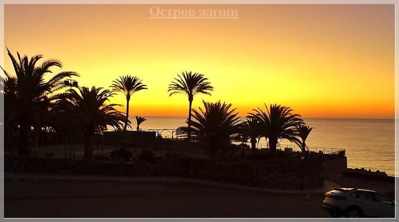 Привет, красавец наш, привет! Остров жизни