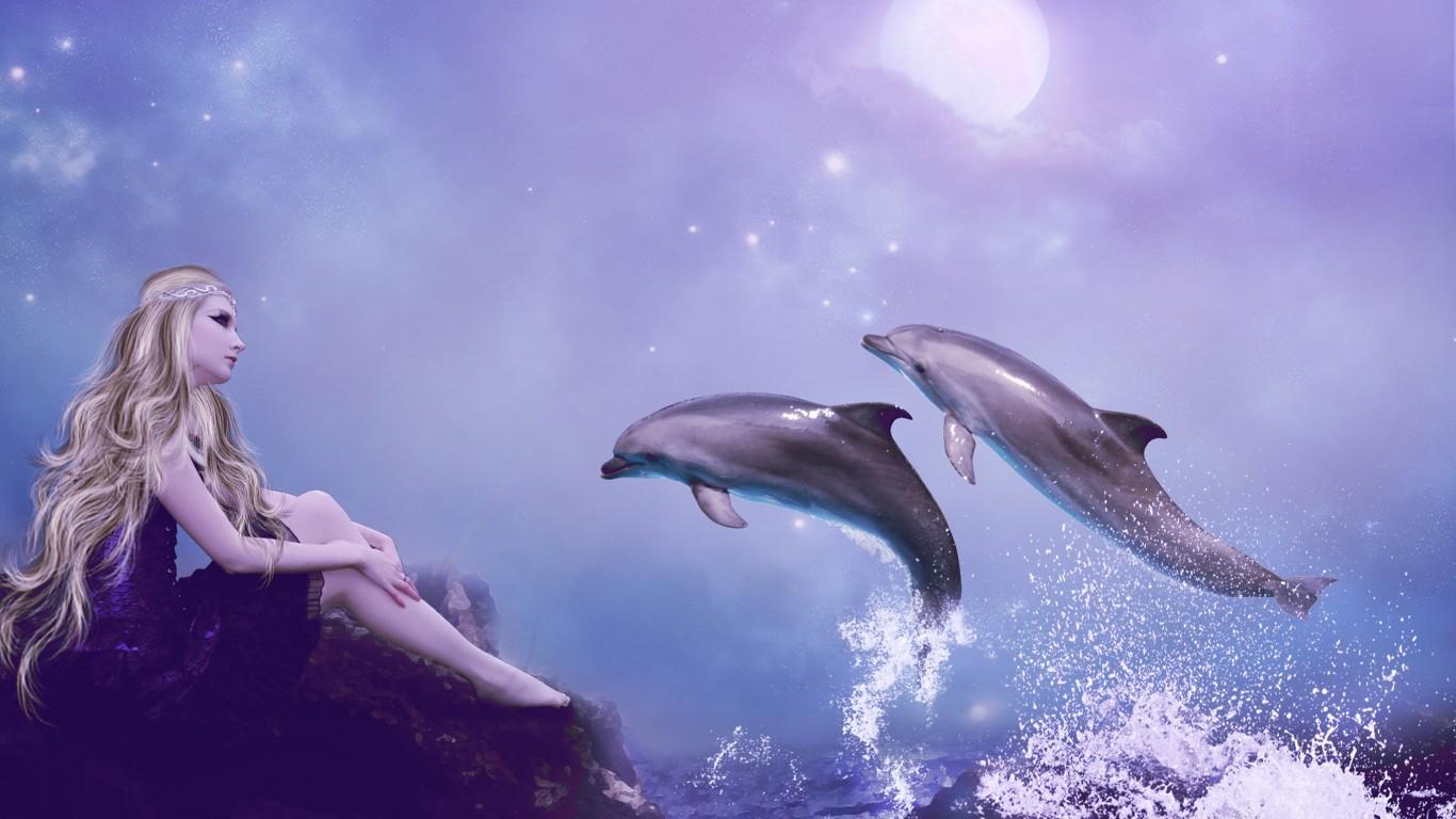 К дельфинам