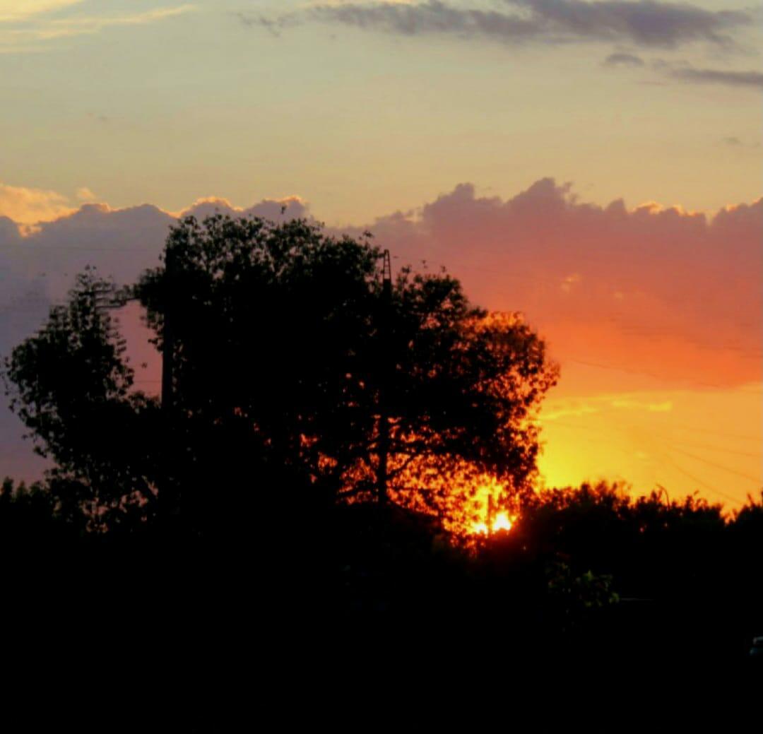В саваннах Мадагаскара