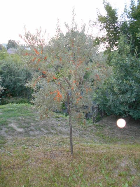 мнимая? реальность...