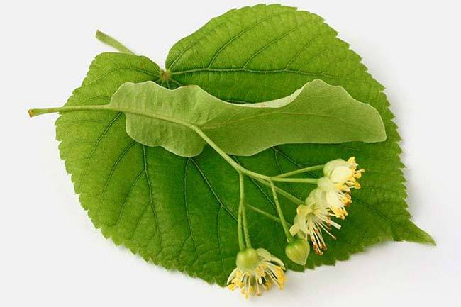 Буду жить...