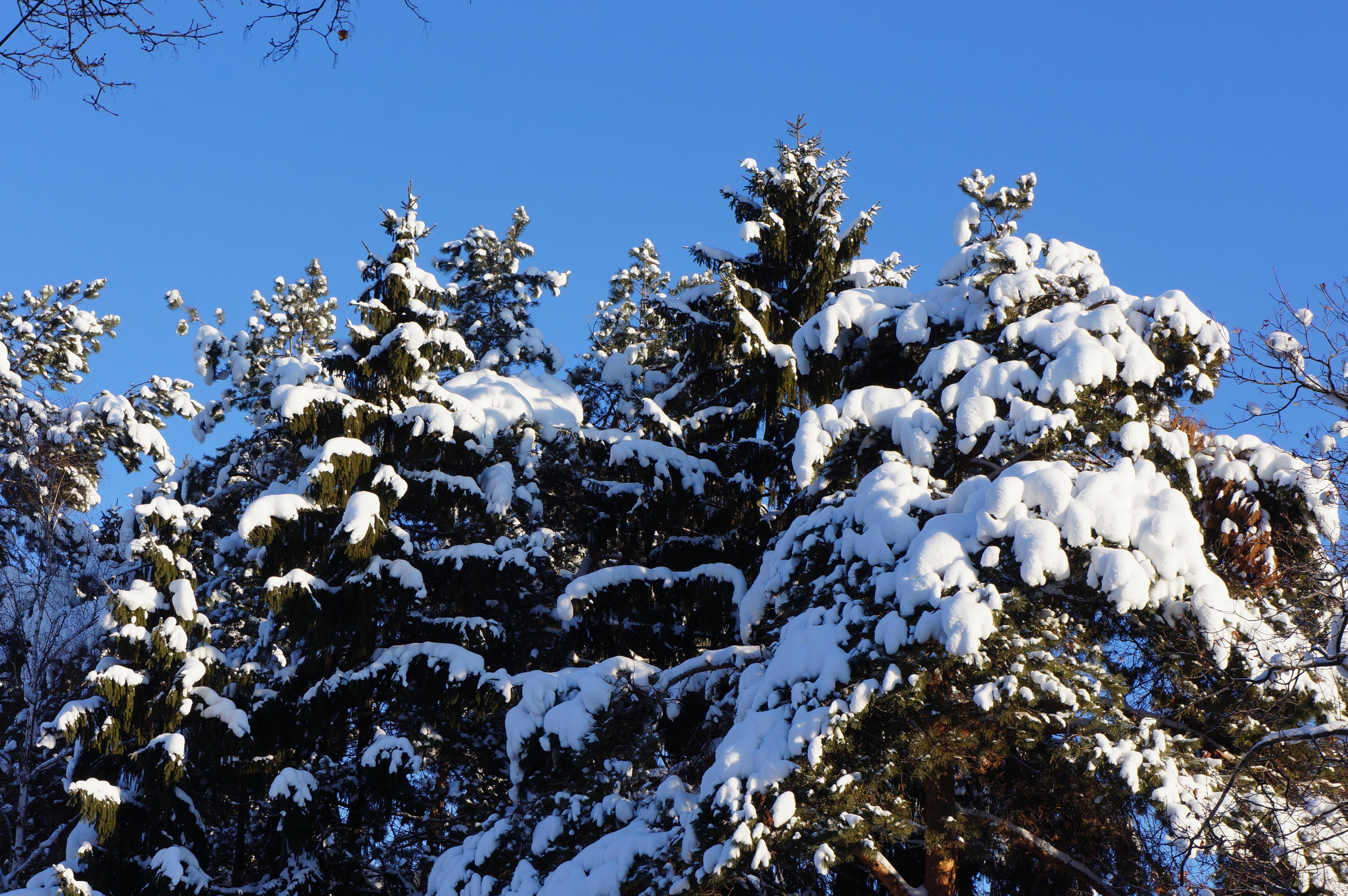 Зимний вальс