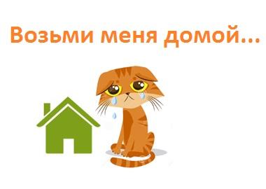 Возьми меня домой...