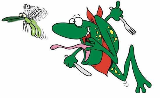 Вот так угощение!