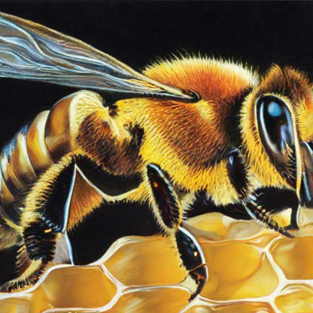 МЕДОВЫЙ ДВОРИК