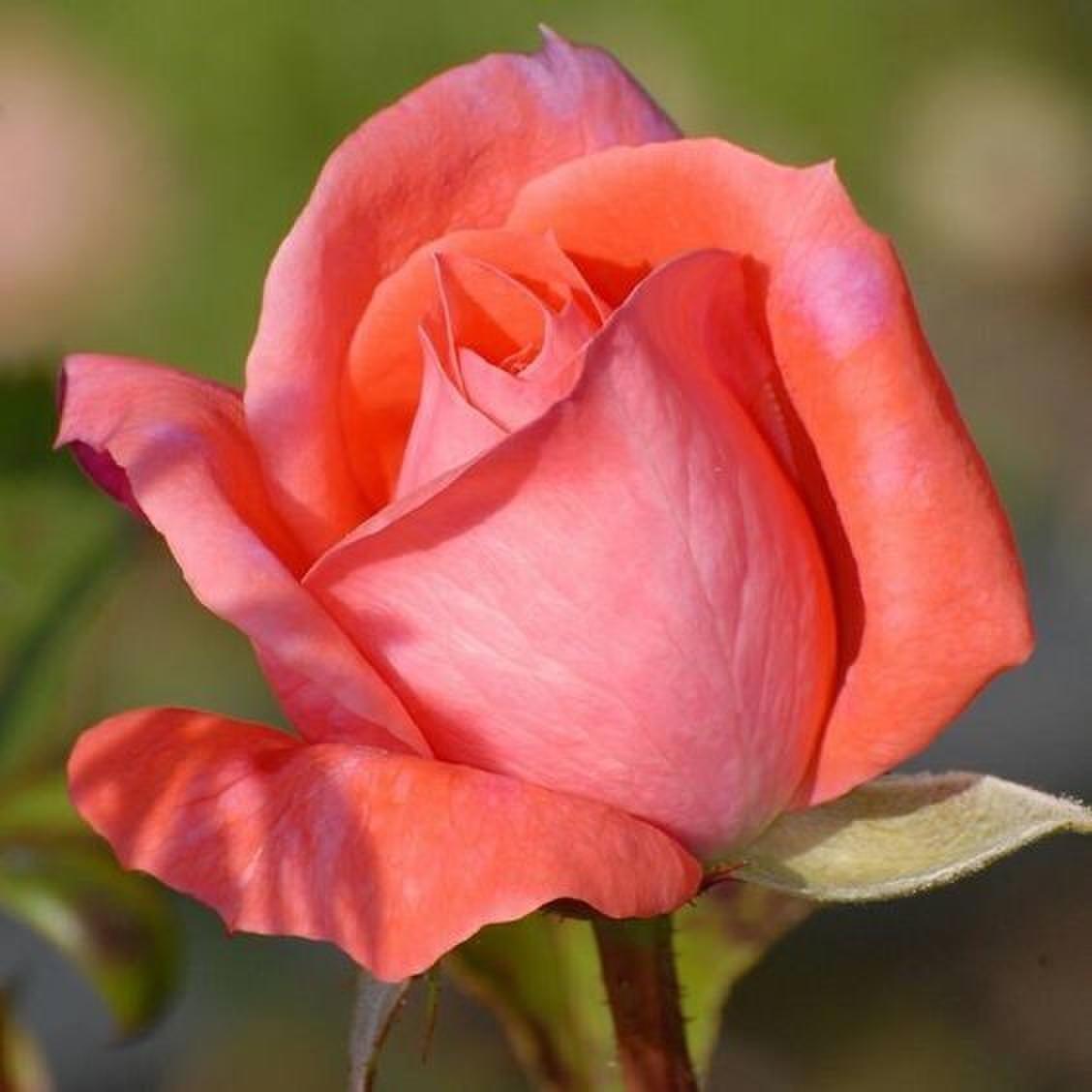 Все было...было...было