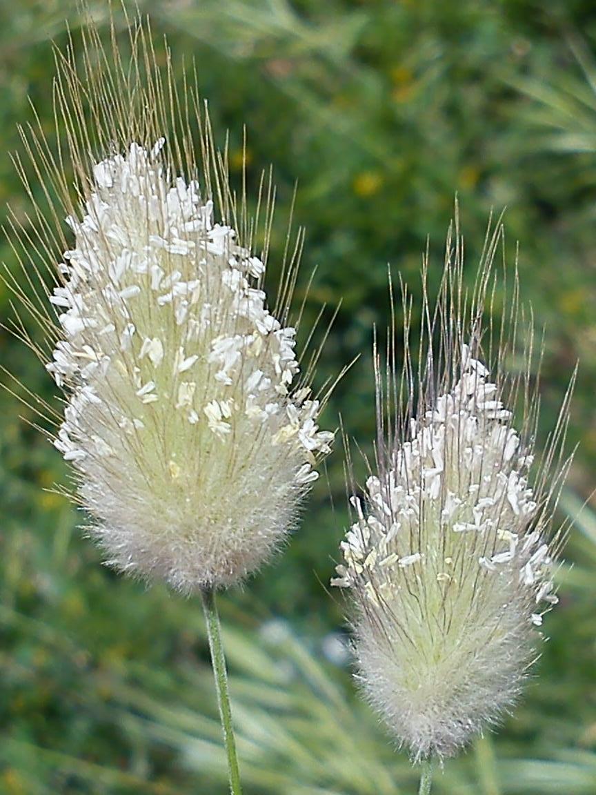 Притчи, глава 3 - перевод с иврита