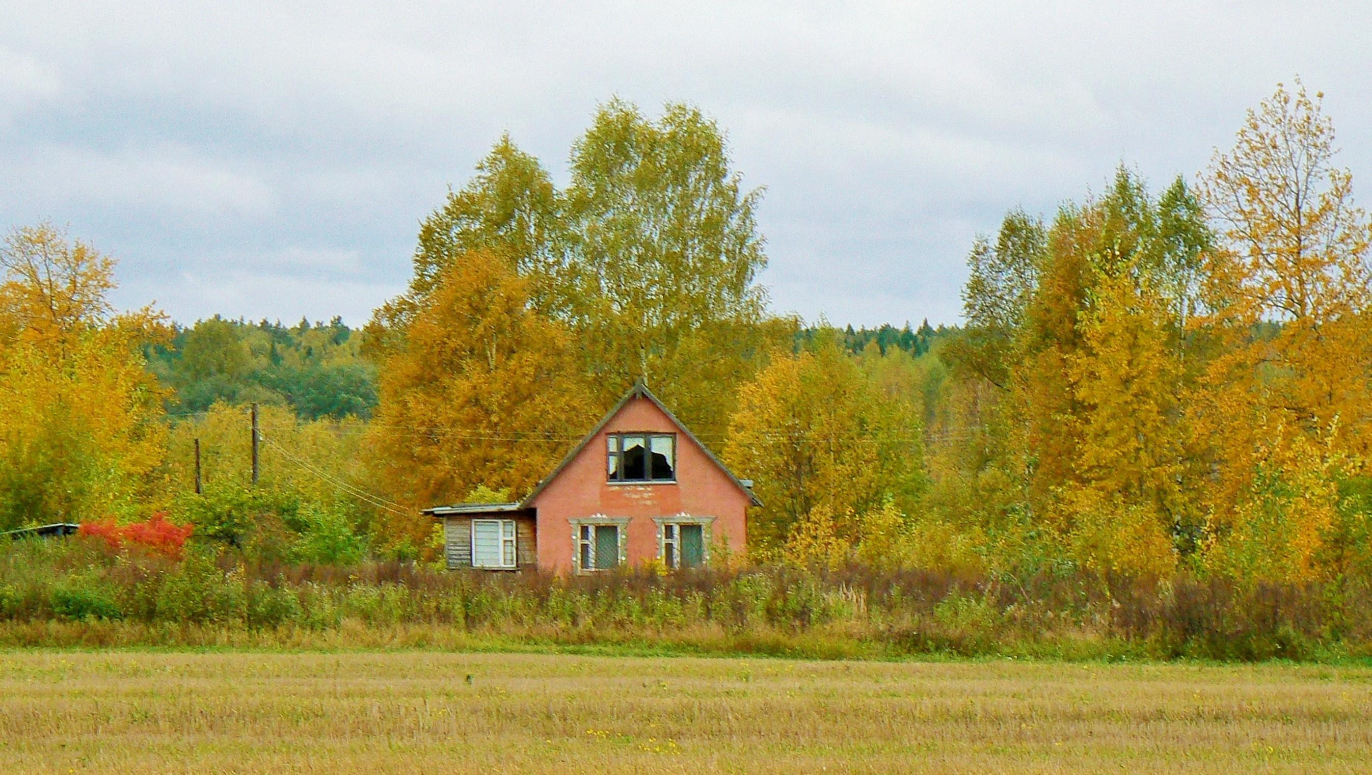 Осенние мысли.