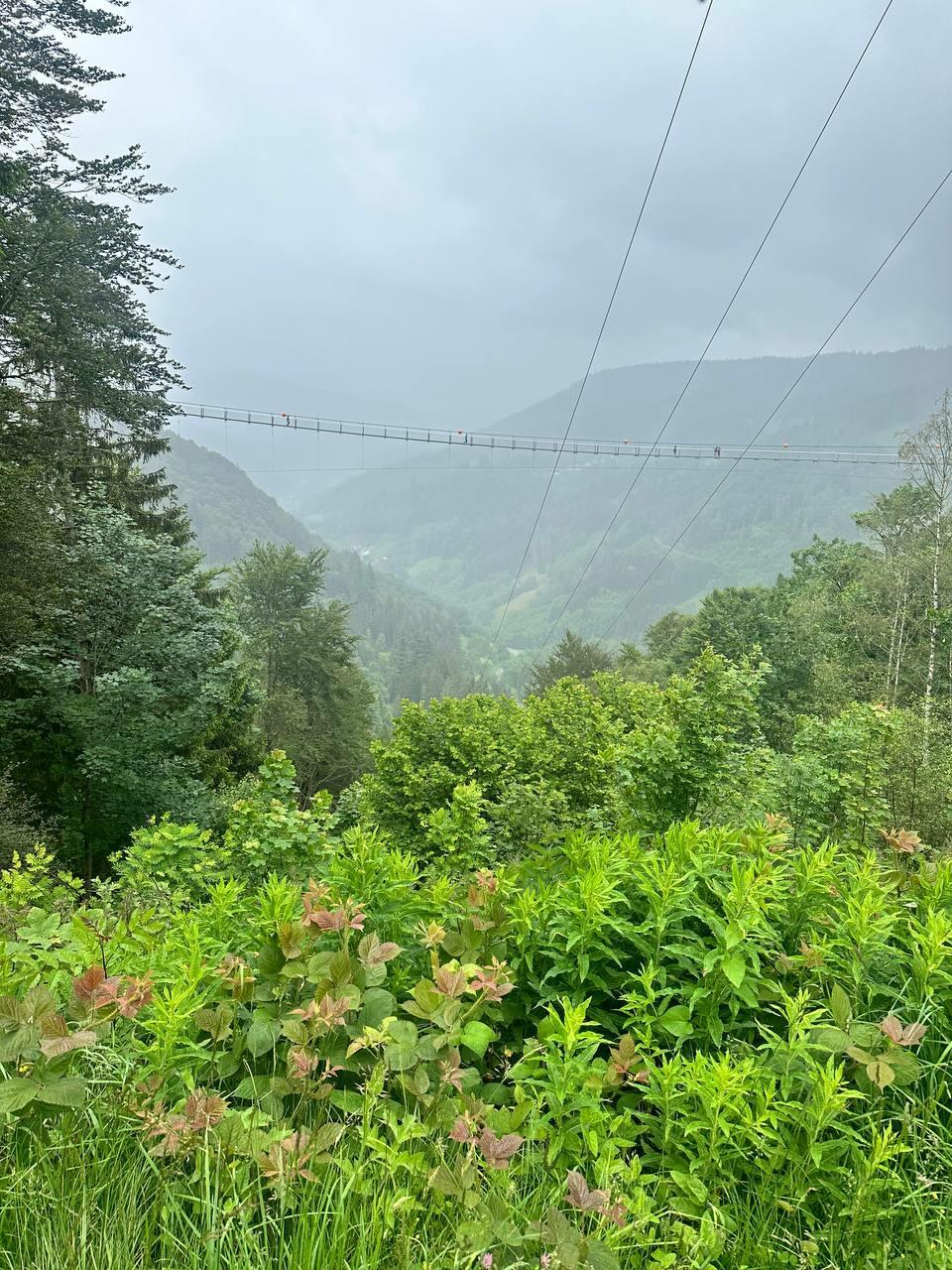 «Фрэнку С.» (Маня 30)