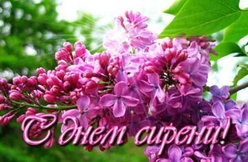 ❤️  ДЕНЬ  СИРЕНИ