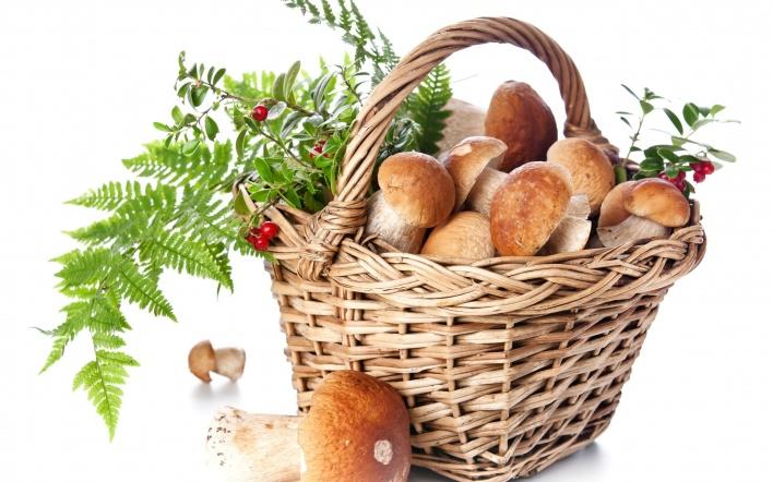 ЗАГАДКИ  ДЛЯ  ДЕТЕЙ