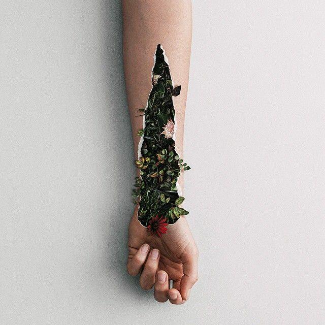 Медвежьи ягоды