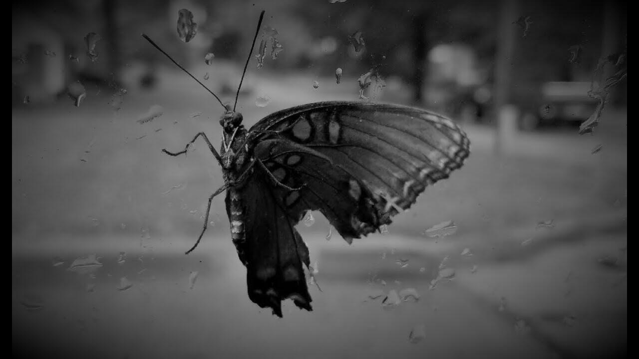 Проигрывая себя