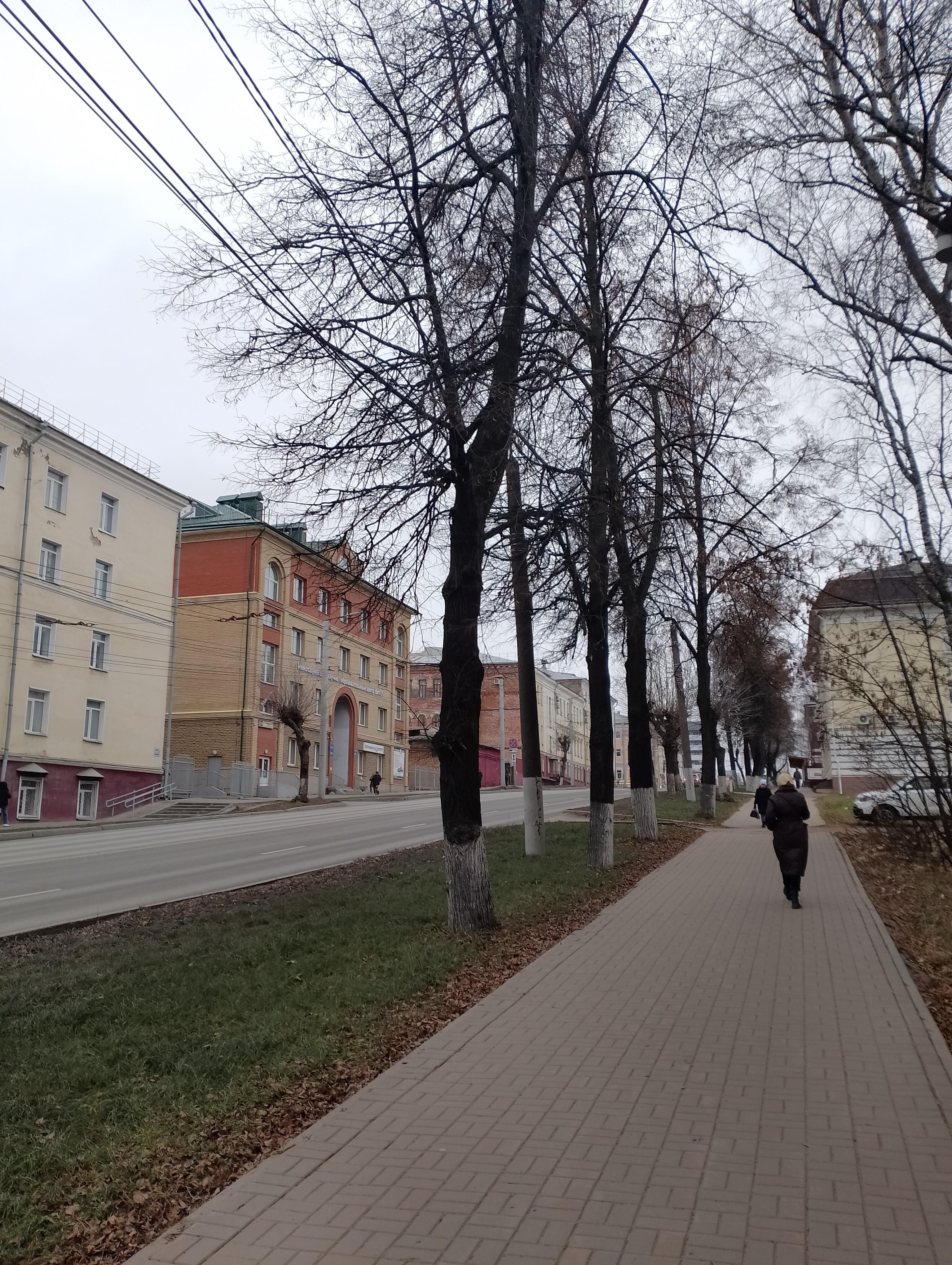 У ноября застывшая слеза