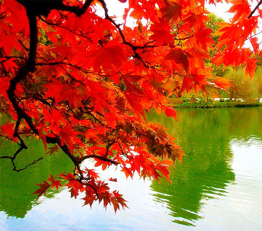 НЕ НУЖНО СОЖАЛЕТЬ О НЕВОЗВРАТНОМ