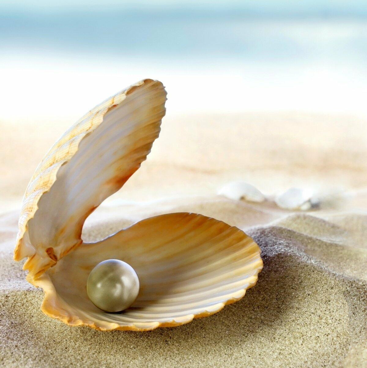 Жемчужинка во сне