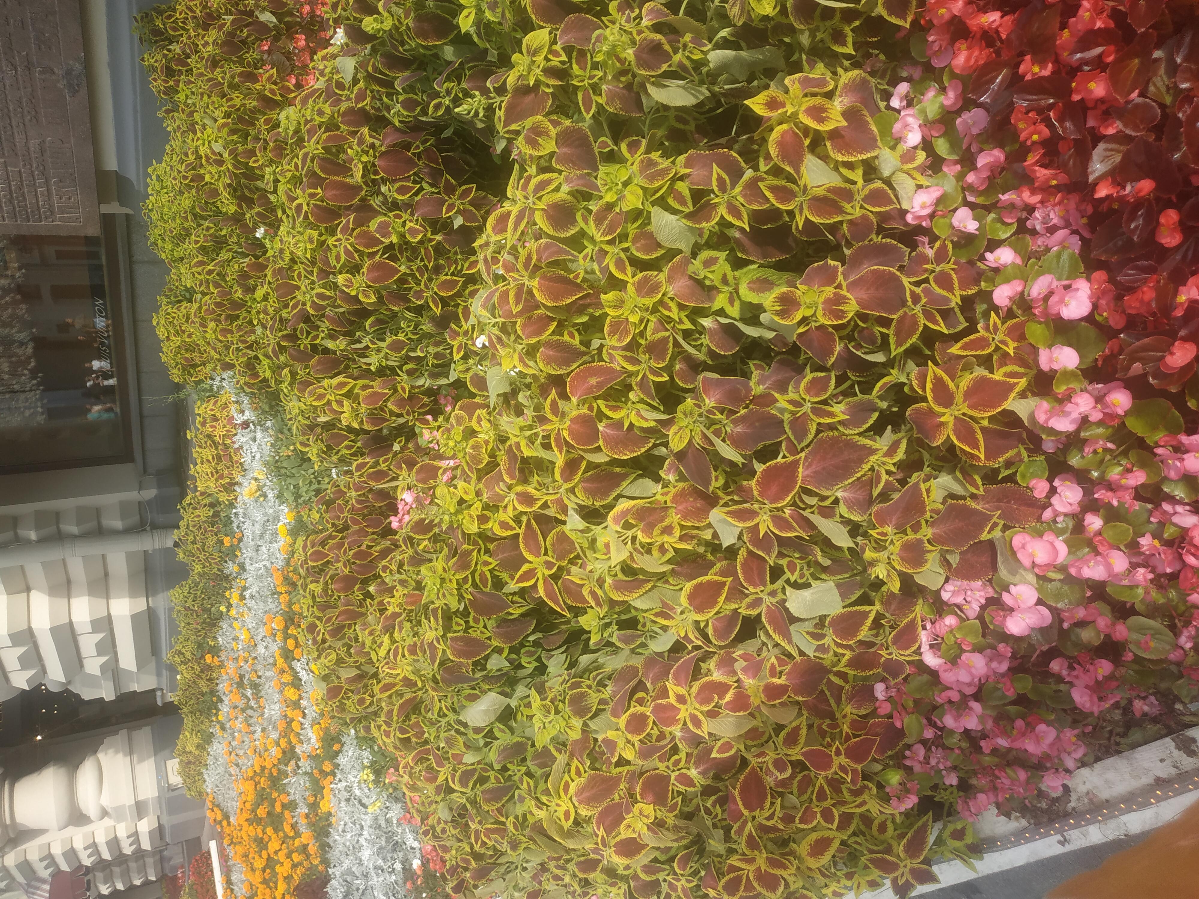 Я видела осень