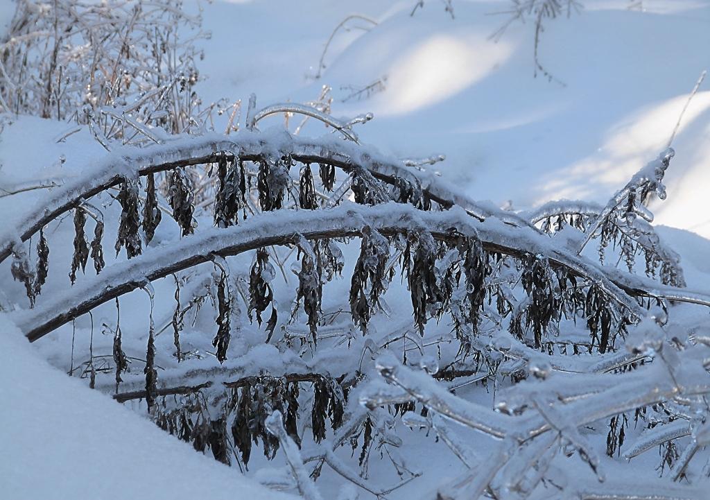 Скоро реки встанут