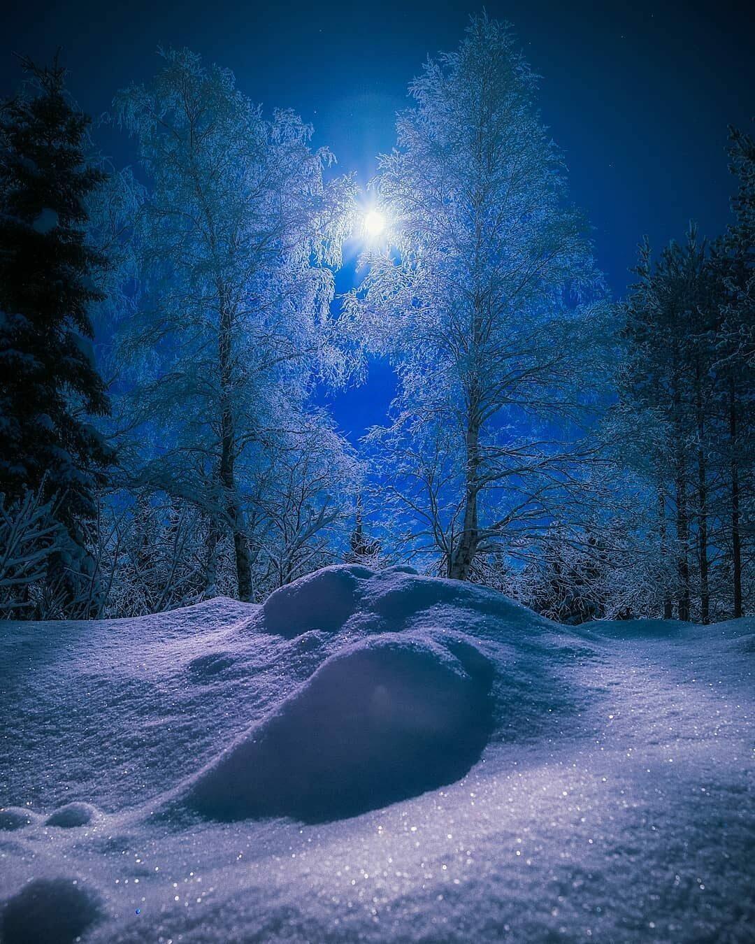 Вечером в холоде текст. Зимний ночной пейзаж. Ночной зимний лес. Зимний пейзаж ночью. Снег ночью.
