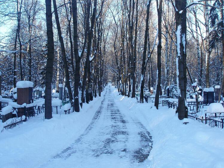 "Возвращайся домой..." (светлой памяти) (26.12.2019)