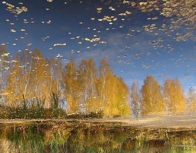 Предельный миг