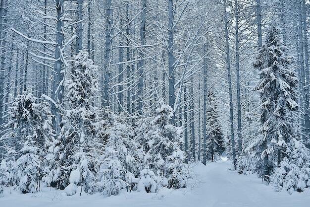 АКРОСТИХИ. ФЕВРАЛЬ И СНЕЖОК