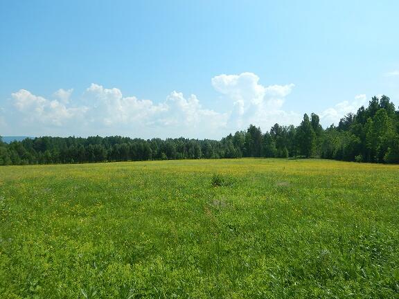 Выйдешь в поле...