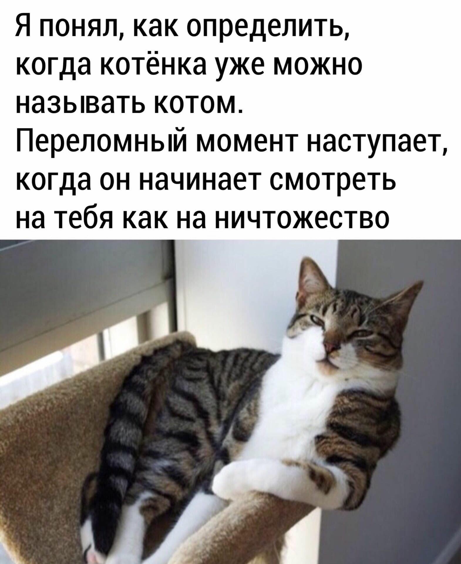 ДвуХстишье. Ничтожество