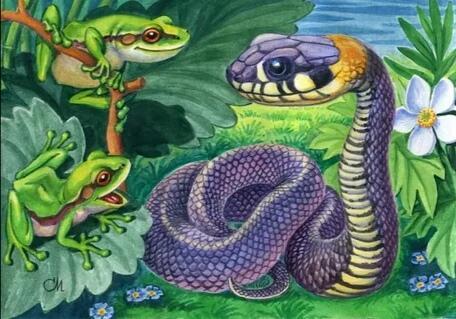 Укротитель змей (конкурсное) 