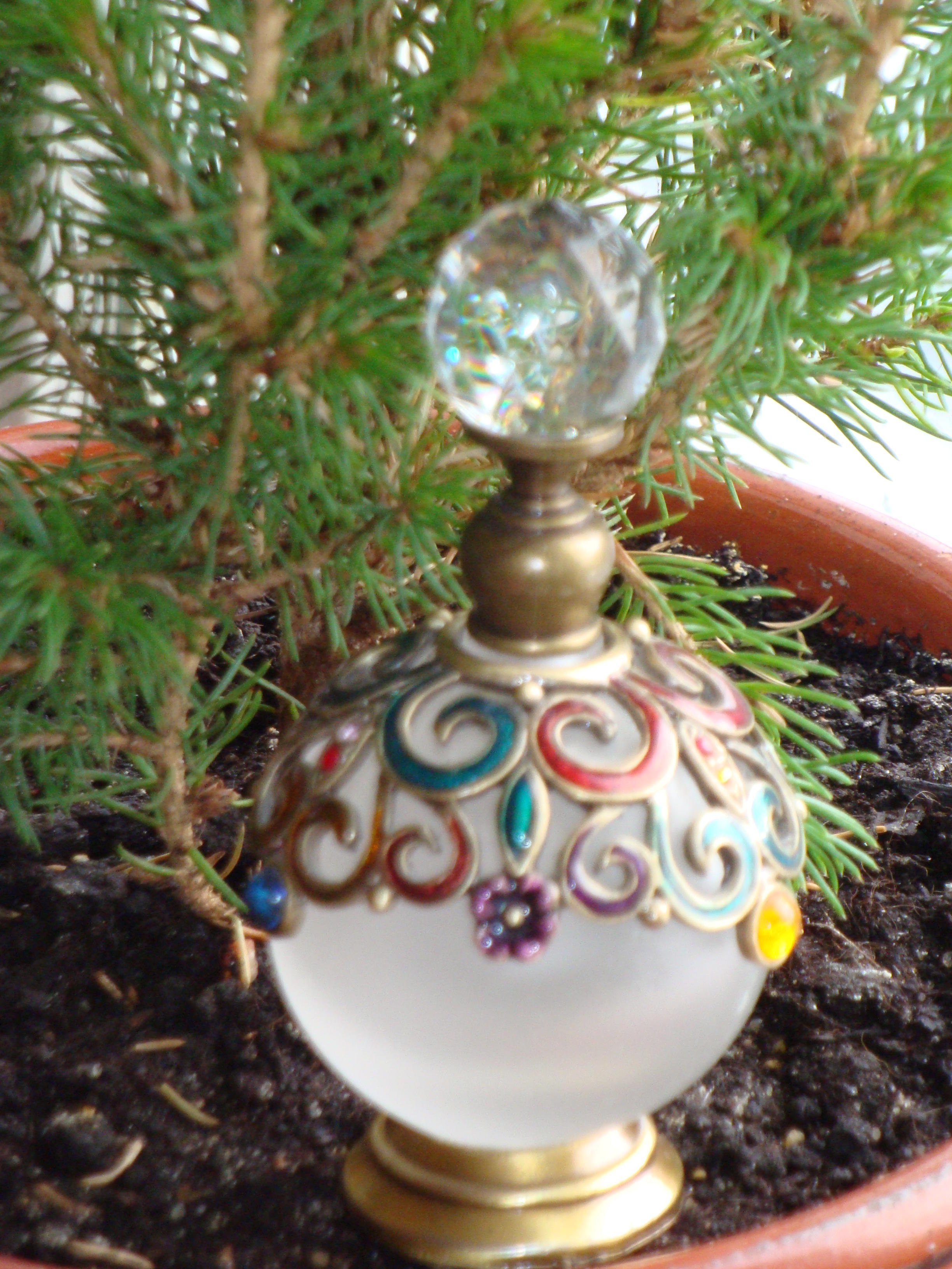 Приворотный дурман