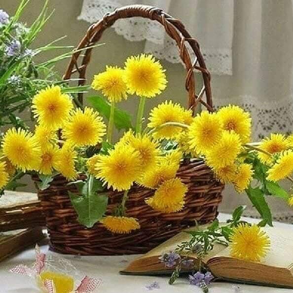 БУДЬ ПРОКЛЯТ ТОТ, КТО УКРАДЁТ СТИХИ