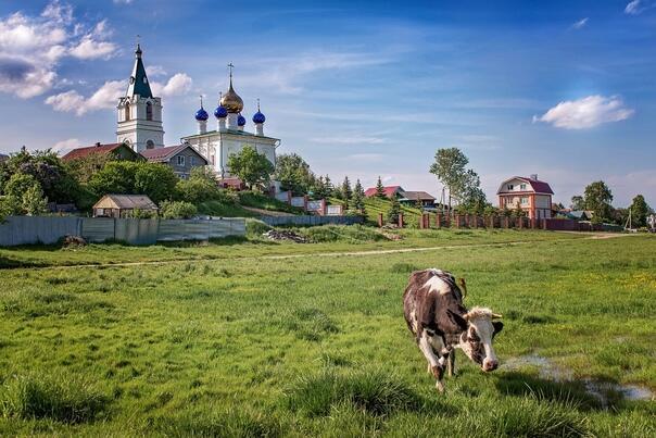 В Козино хотел бы я остаться