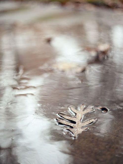 я то, что сбудется