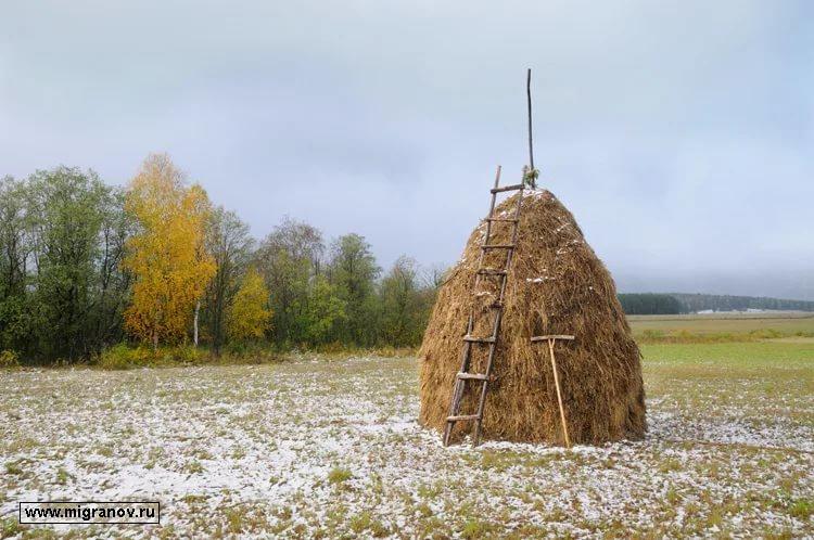 Уже бы  лёг снежок ...