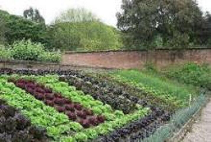 ТРЕЗВОСТЬ – НОРМА ЖИЗНИ_17