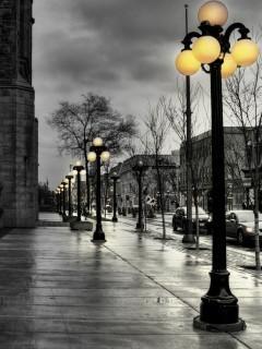 Метеозависимость