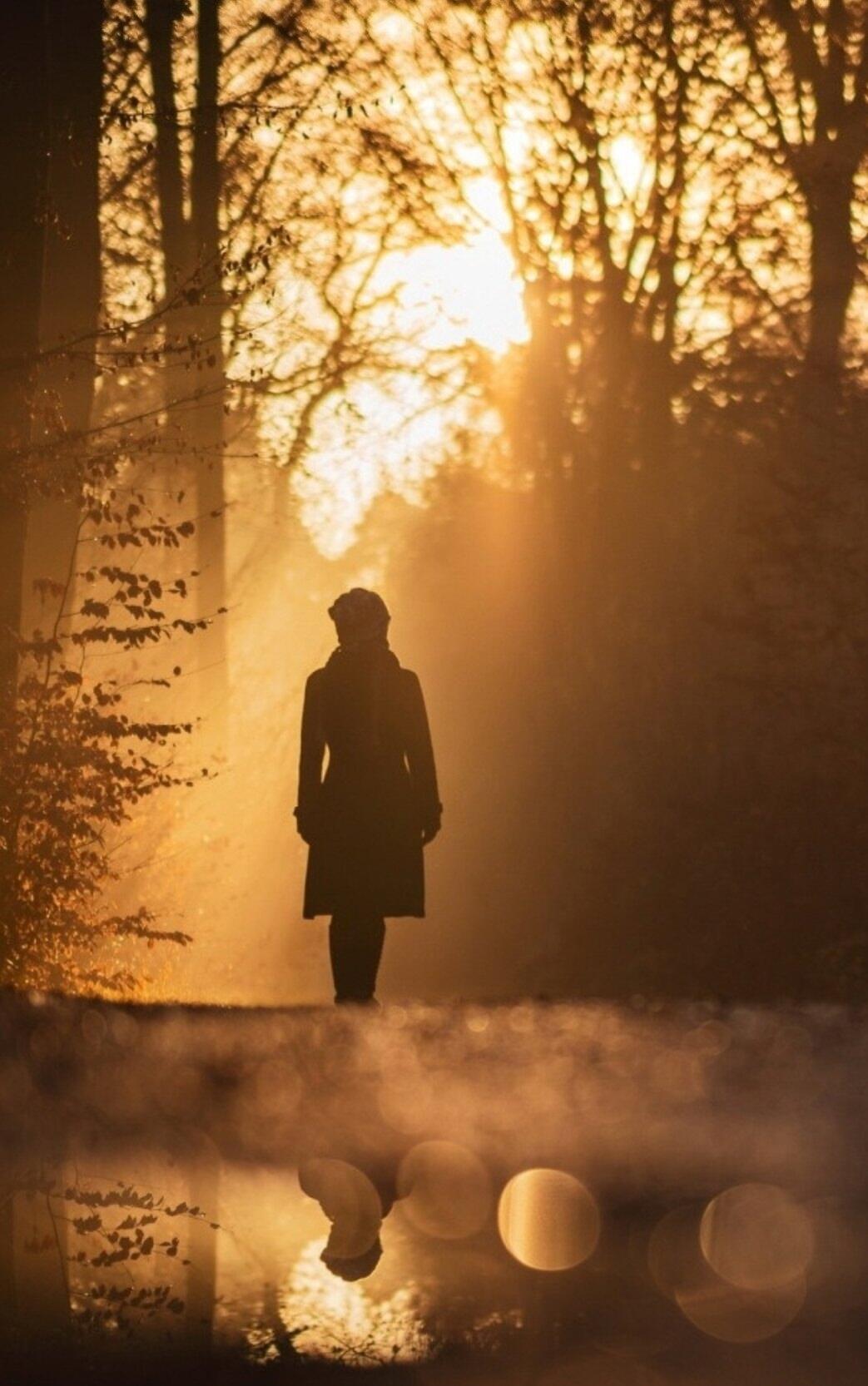 Ночью много листвы нападало