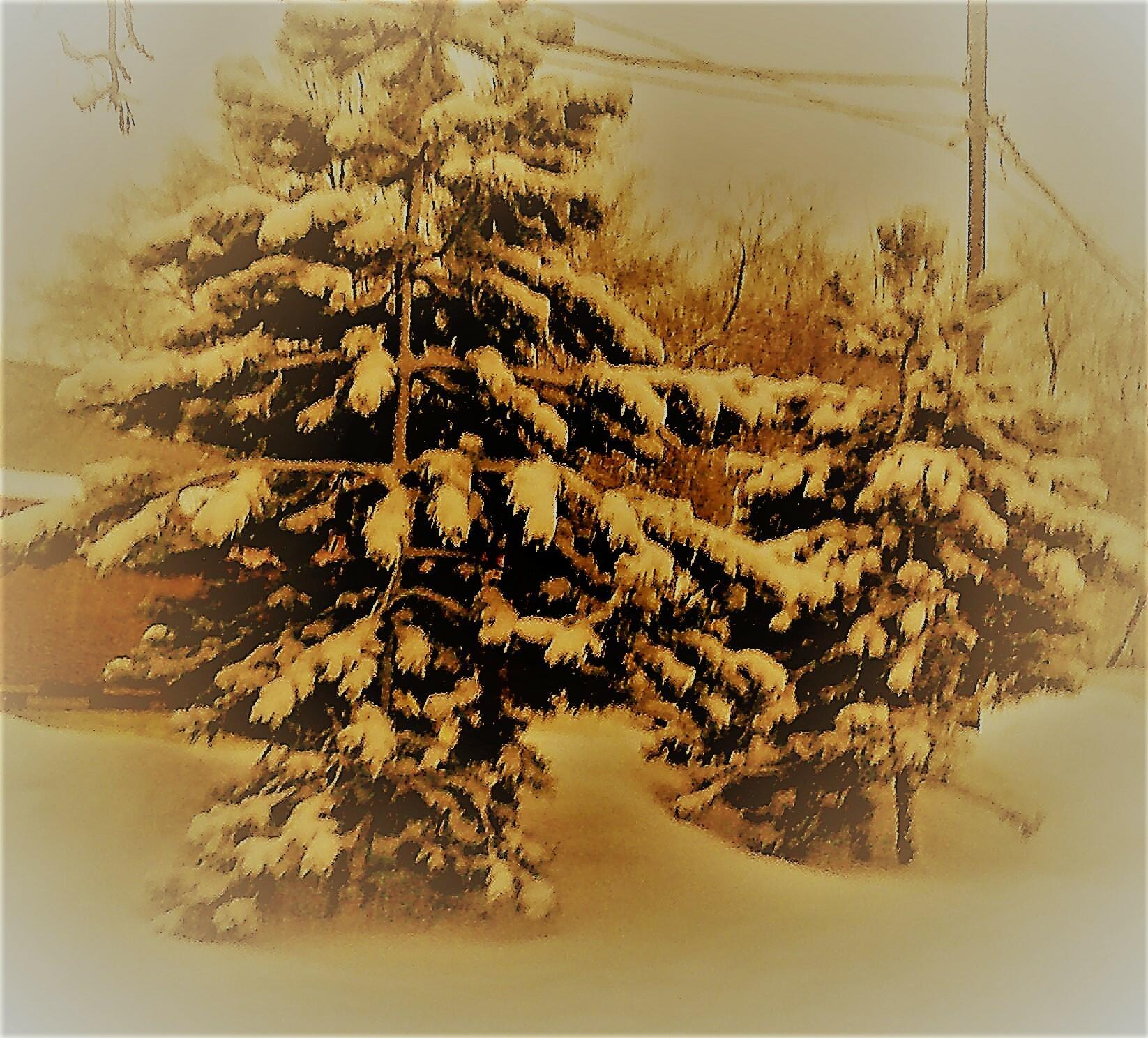 Первый снег