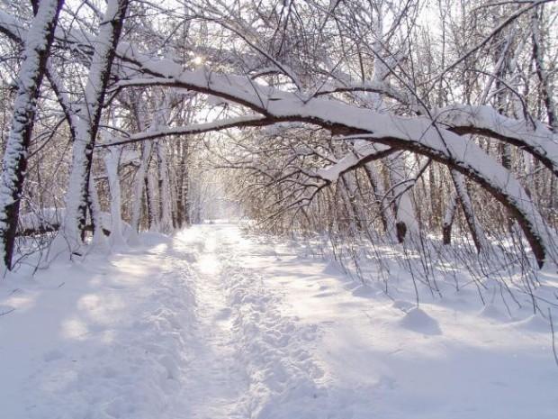 Не пугай меня зимою....