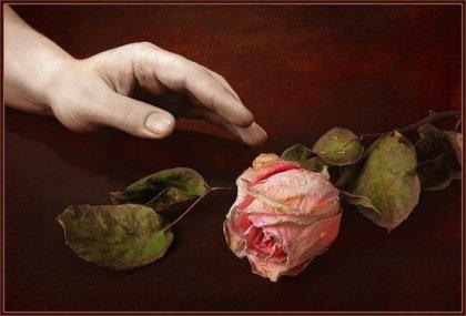 День "X " для цветов