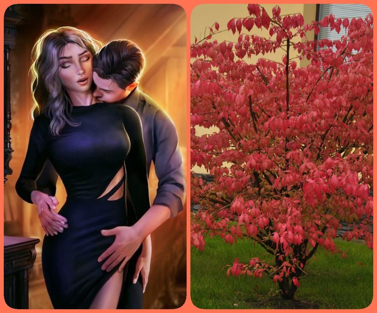 Я - Лучшая и самый Лучший ОН        Галинка Багрецова    +    Трианон