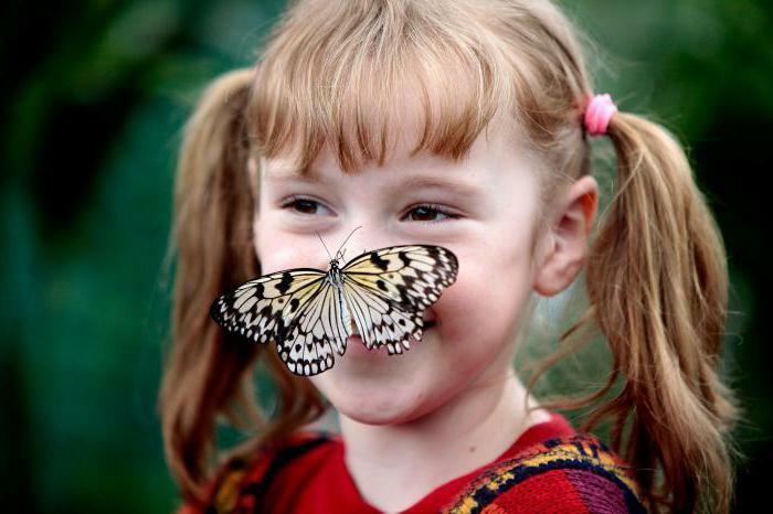 Залетело счастье