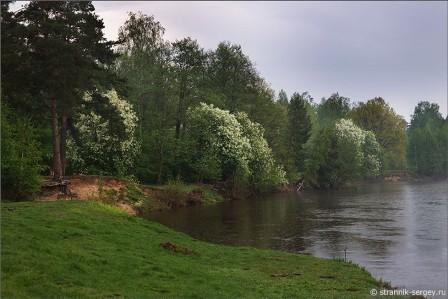 Чтоб тропки здесь не заросли