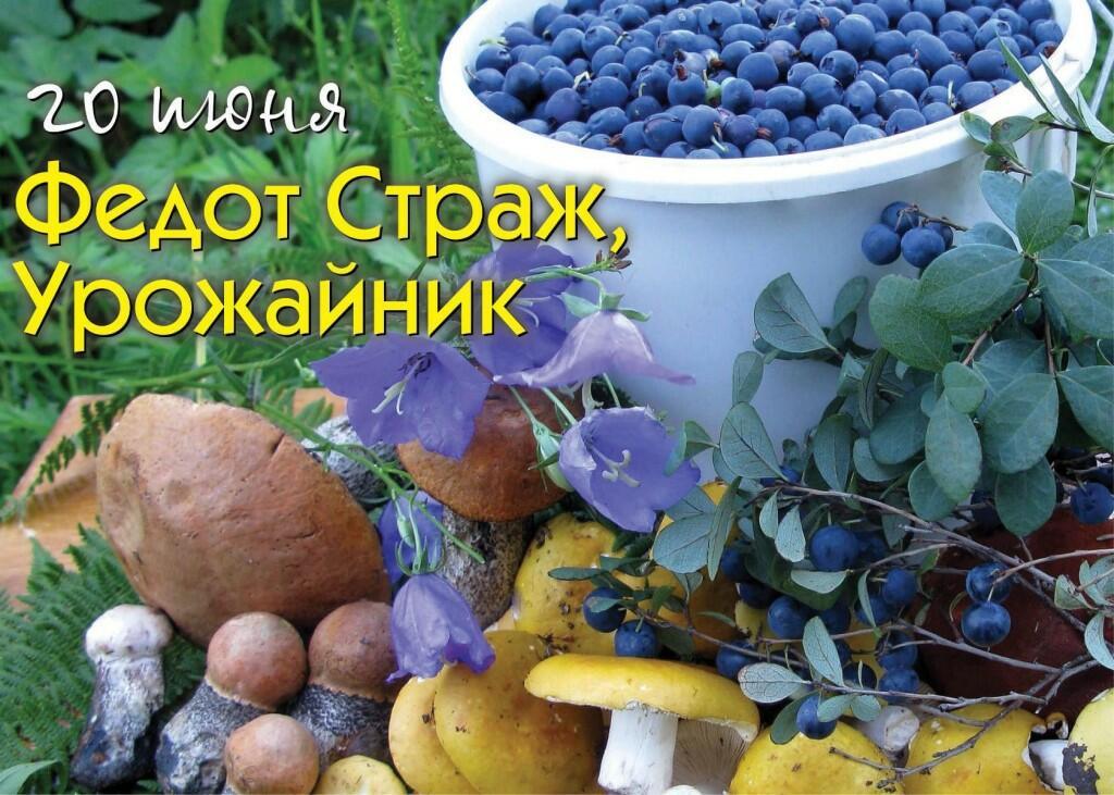20 ИЮНЯ - Федот Урожайник