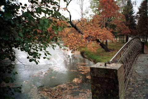 На осеннем берегу
