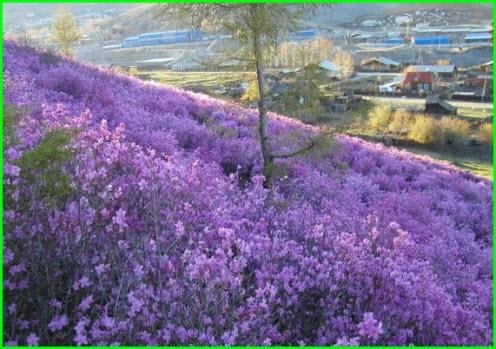 Ты видел,осыпавшуюся гальку...