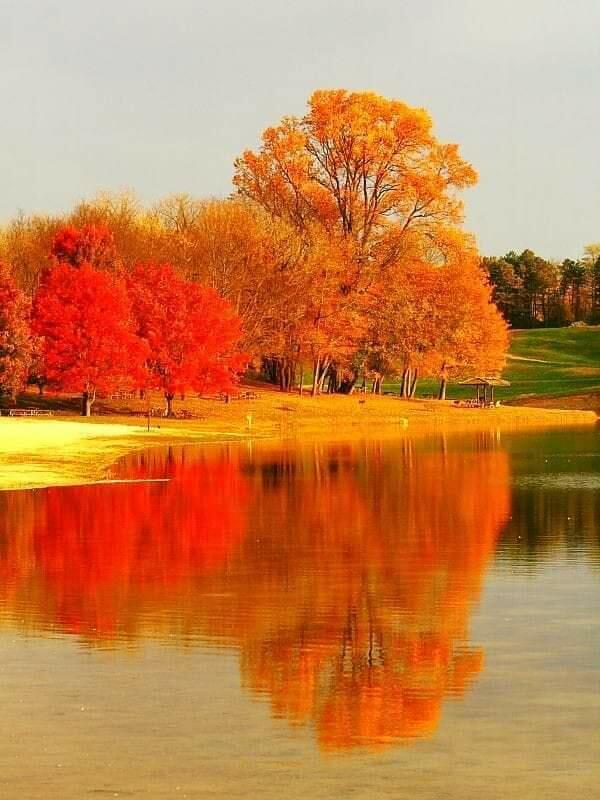 Природа пригласила в сказку