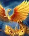 Феникс