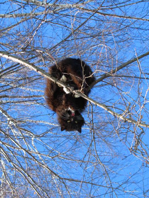 Вот и Весна!